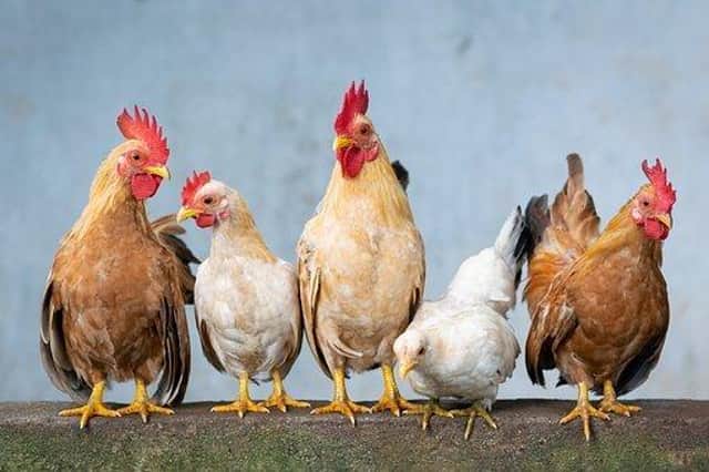 The virus has been detected at a poultry farm in Derbyshire.