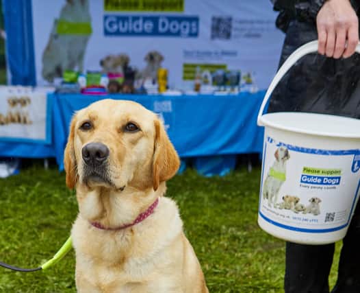 Guide Dogs charity counts on public donations.