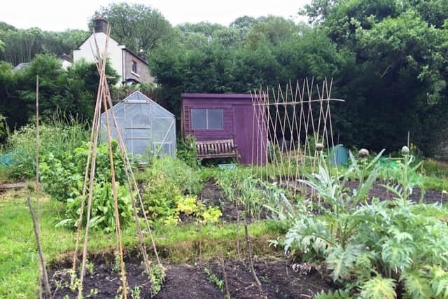 The Starkholmes allotments have been at the heart of the village for more than a century. (Photo: Sarah Parkin)
