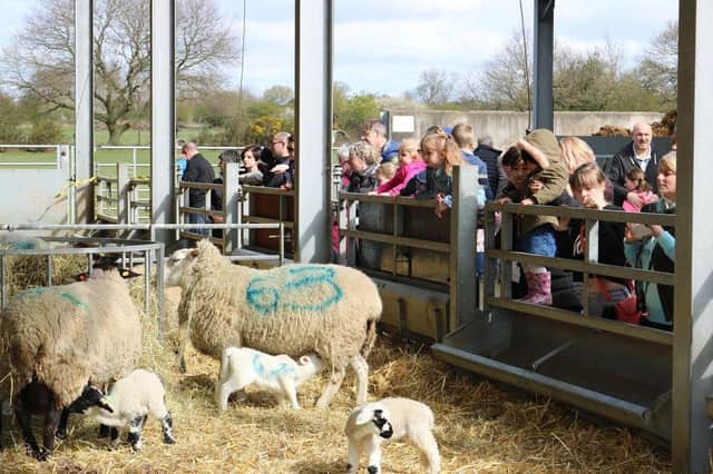 Lambing Sunday is a big attraction for families at Derby College's Broomfield Hall campus.