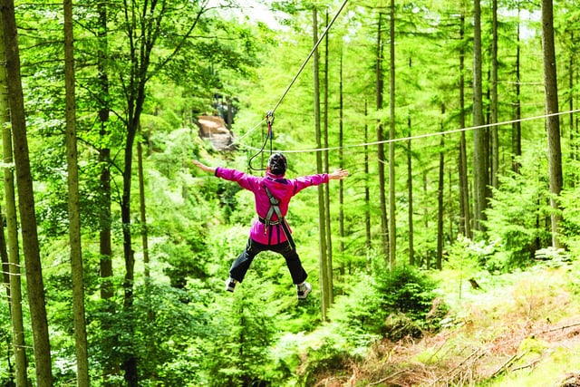 Go Ape in Buxton is reopening for the February half-term holiday. If you're 10 years old and above, you could become a zipline hero by tackling the Treetop Challenge which has daring crossings, Tarzan swings and epic zip wires. The Treetop Challenge costs from £30;to book, go to https://goape.co.uk/locations/buxton