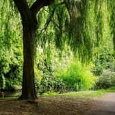 Mental health charity Mind says regular access to green spaces can help improve people's moods and reduce stress