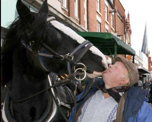 A popular attraction in Chesterfield market place, the four-legged waste collector was officially stood down by the borough council in 2013. Its retirement followed a petition and a businessman footing the £11,500 annual cost to keep the horse in place for a year.