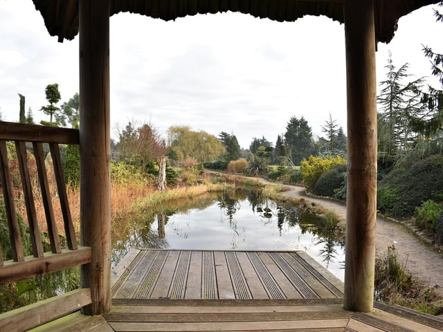Now that's a stunning garden view. From Aileen Tutgun.