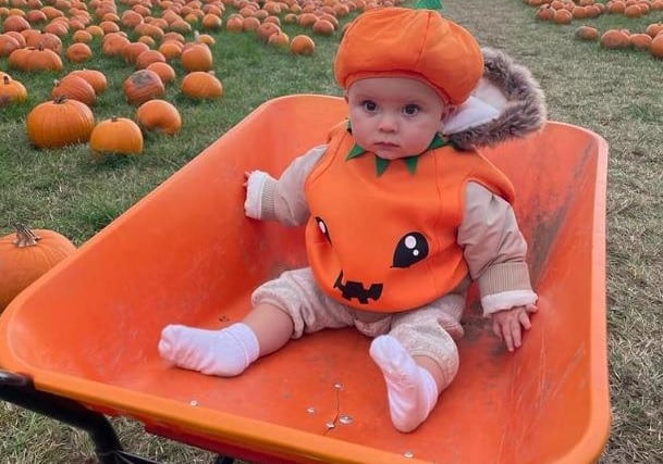 Kelly Annesley posts this gorgeous photo of a baby sitting in a wheelbarrow in a pumpkin field.