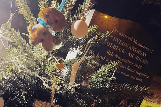 Chloe said ornaments and momentos, including a blue fern tree and a Nutbrown Hare teddy, have been removed from Byron's Grave