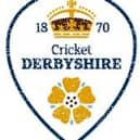 Cricket in the community: Derbyshire Cricket Foundation are helping more local people get active