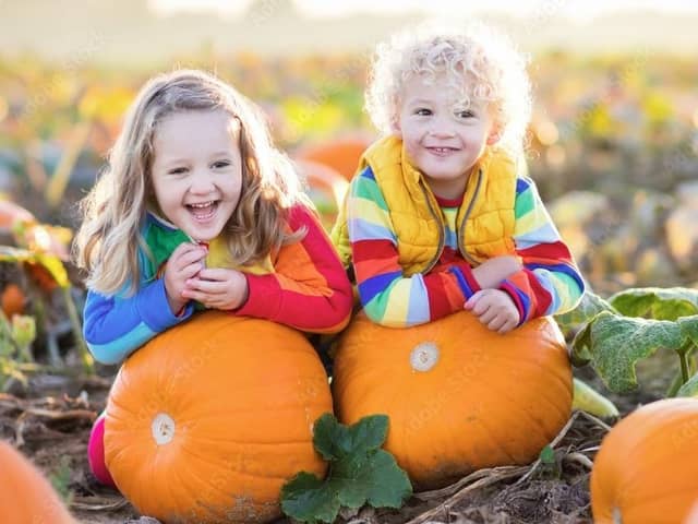 Where will you take your family to pick pumpkins in Derbyshire this autumn?