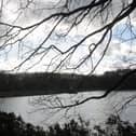 Severn Trent has apologised after a dog fell ill at Linacre reservoirs.