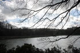 Severn Trent has apologised after a dog fell ill at Linacre reservoirs.