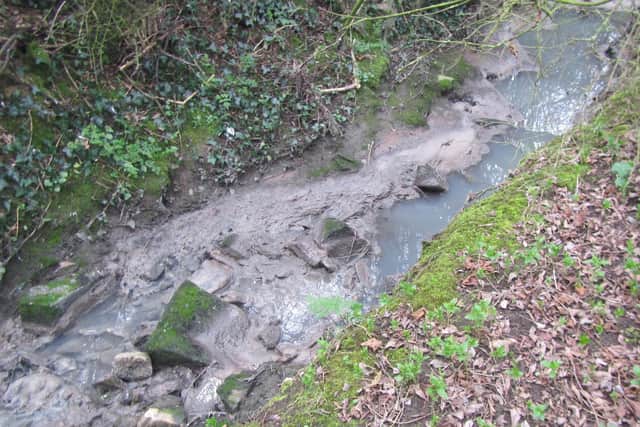 Yorkshire Water has been fined over £700,000 for polluting a Chesterfield country park stream three times