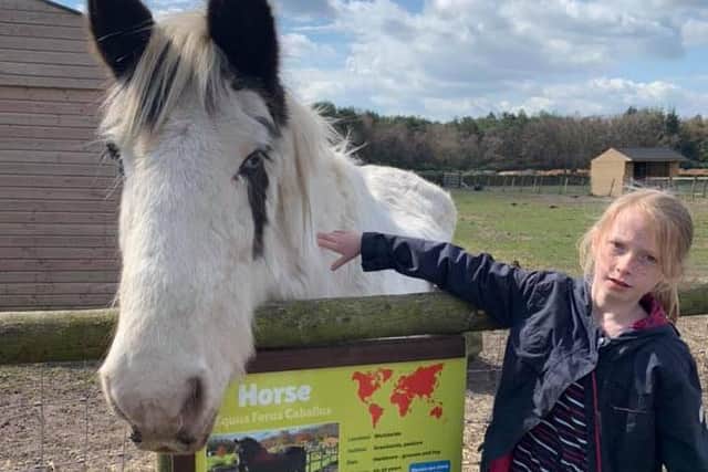 Matlock Farm Park has submitted a planning application for a new roundhouse barn. Nine-year-old Jessica Ball is pictured petting a horse at the popular family attraction.