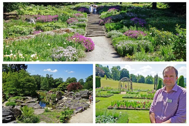 Arcadia garden, Rose Garden and Paxman Rock Garden, clockwise from top.