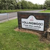 Several residents in Hollingwood have reported problems with rats