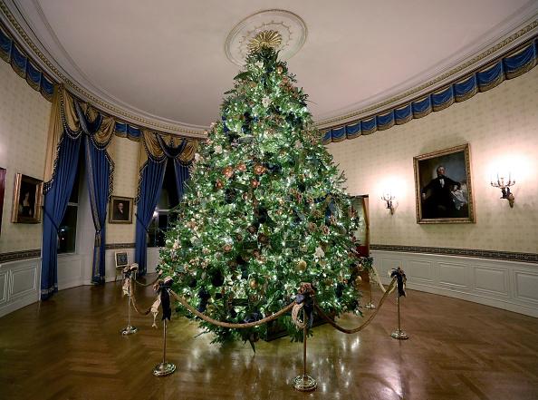 You can order a real Christmas tree from Pleveys Garden World. Call them on, 01302 327311.