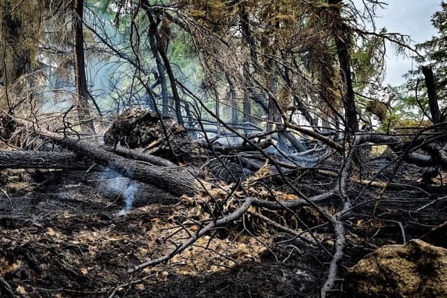 The blaze devastated a huge area of wood and moorland