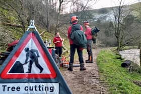 Rangers carry out tree safety work in the Peak District.
