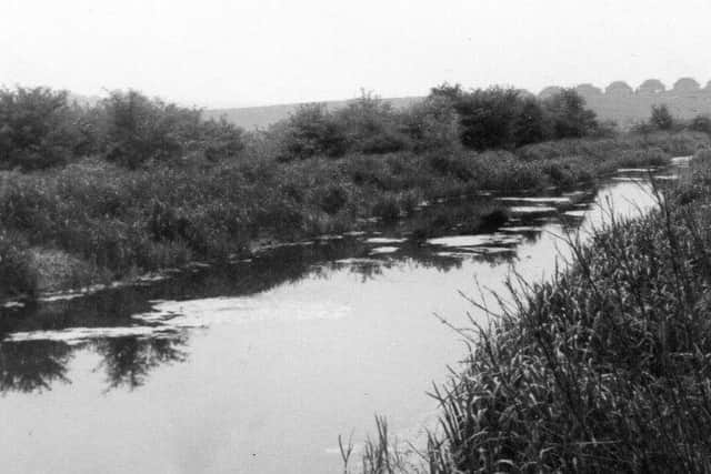 Staveley puddlebank, part of the route the trust wants to restore next.