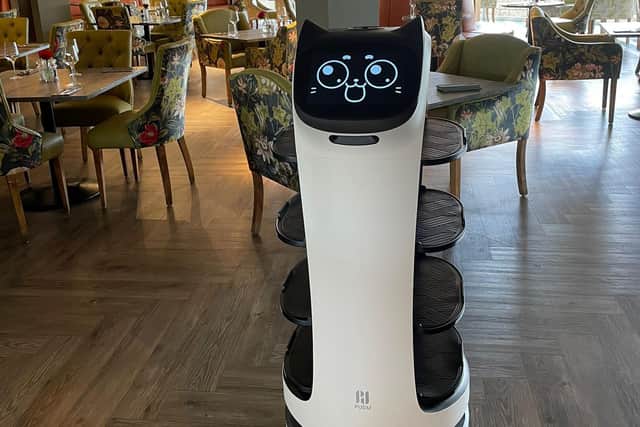 The robots are designed to learn the layout of a restaurant and find tables automatically.