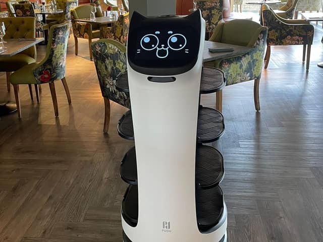 The robots are designed to learn the layout of a restaurant and find tables automatically.