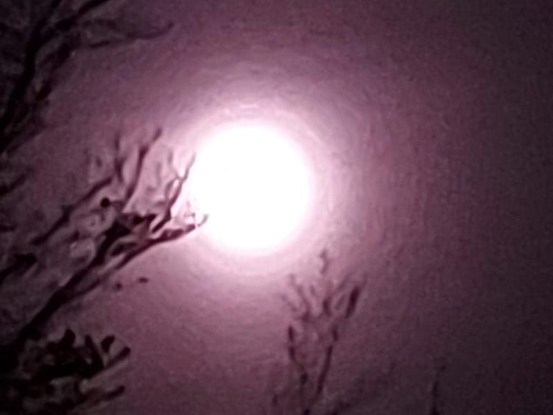 Portsmouth Super Pink Moon: The phenomenon does appear quite pink in this photo from Debbie Riley