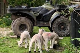 This is the quad bike that was stolen.