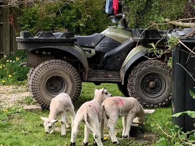 This is the quad bike that was stolen.