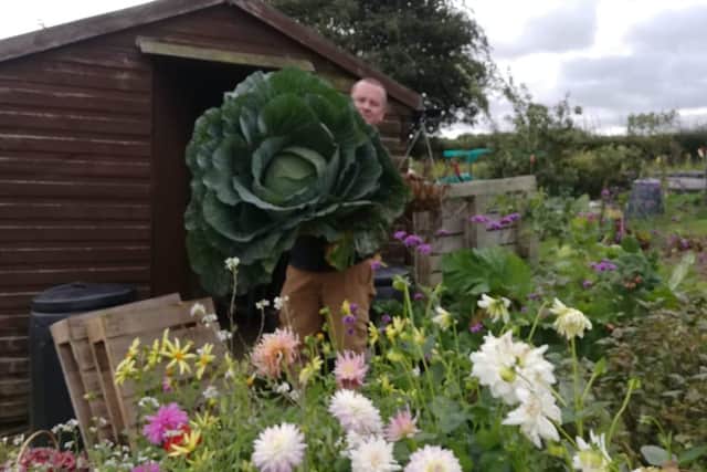 Dominic with his 22.3kg Cornish Heirloom cabbage