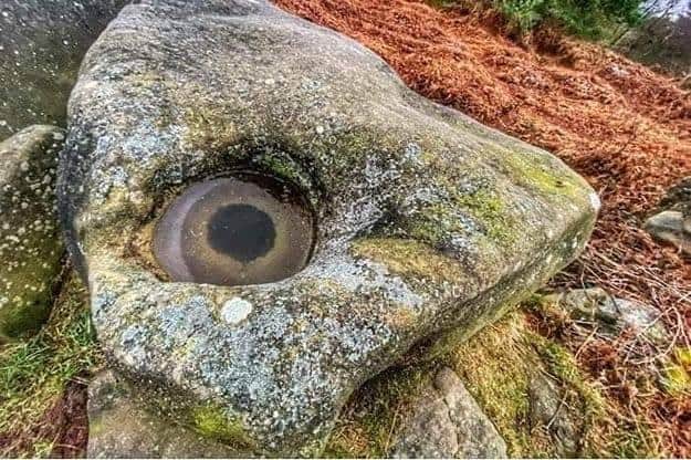 A frost formation on a rock, resembling a fish or dragon's eye, has been spotted by an unsuspecting photographer.