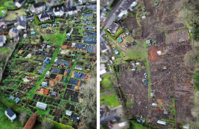 Before and after shots of the Starkholmes allotments, whose landowner says he has plans for a Christmas tree plantation on the site.