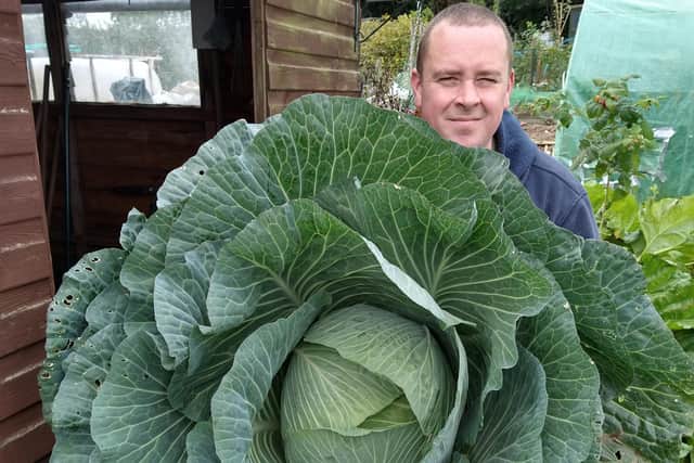 Dominic with his 22.3kg Cornish Heirloom cabbage
