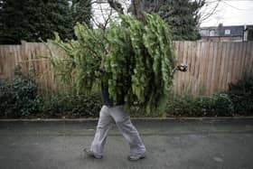 Derbyshire Dales residents using the garden waste service will be able to leave out their Christmas trees for collection in January.   (Photo: Leon Neal/AFP via Getty Images)