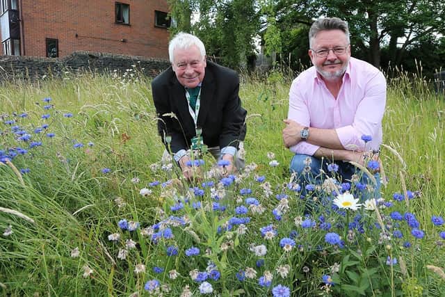 Councillors Peter Slack, left, and Barry Lewis, right, among the cornflowers on the grass verge of Derby Road and Summer Lane, Wirksworth.