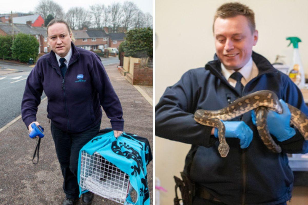 RSPCA recruiting for animal rescue officers in Derbyshire
