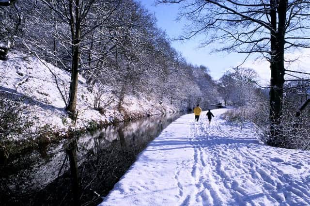 A winter walk alongside a canal can be fraught with danger.