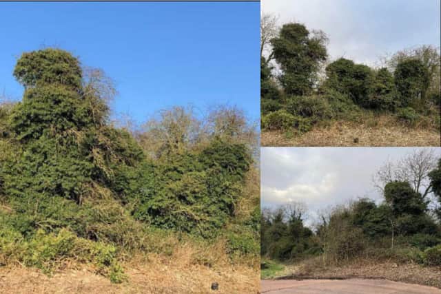 Application for tree works at Hollin Hill Road, Clowne was submitted by Galliford Try Construction, on behalf of Severn Trent Water on January 19.