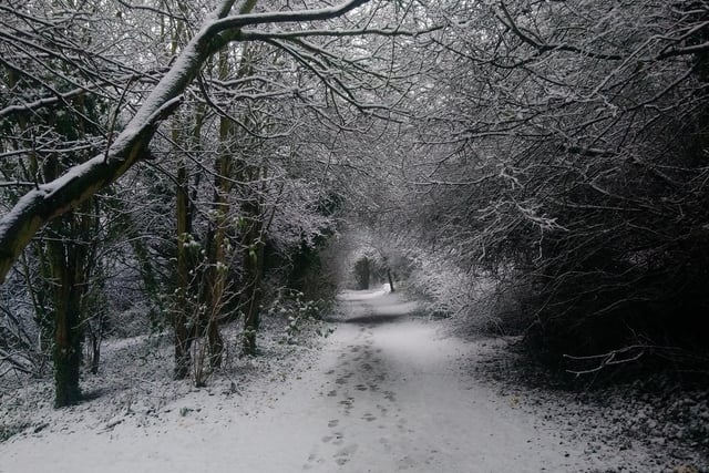 A winter walk wonderland. From Mark Hughes.