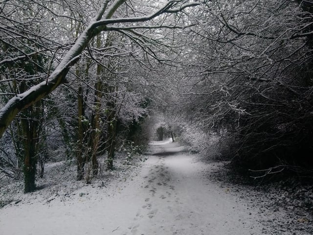 A winter walk wonderland. From Mark Hughes.