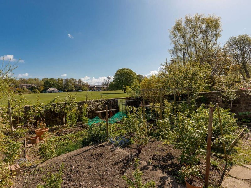Rear garden.