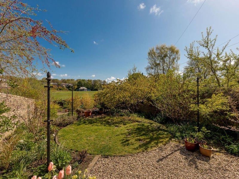 Rear garden.