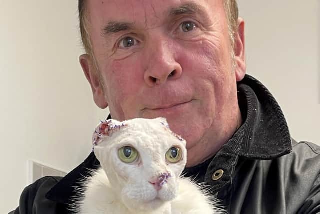 David Whitehouse with Jasmine the stray cat who had to have her ears amputated after developing cancer caused by sunburn
