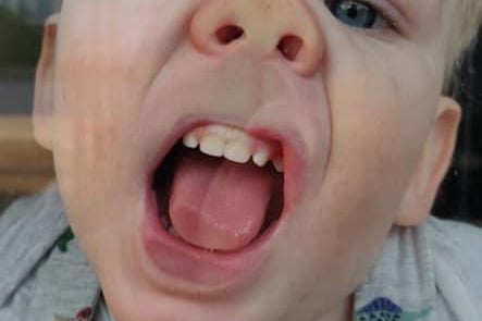 Lauren Henson was made to laugh when her grandson discovered a window for the first time!