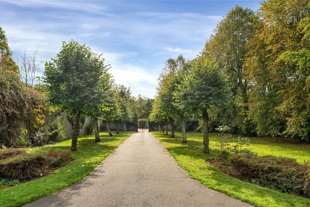 A tree-lined driveway sweeps up to the elegant hall.
