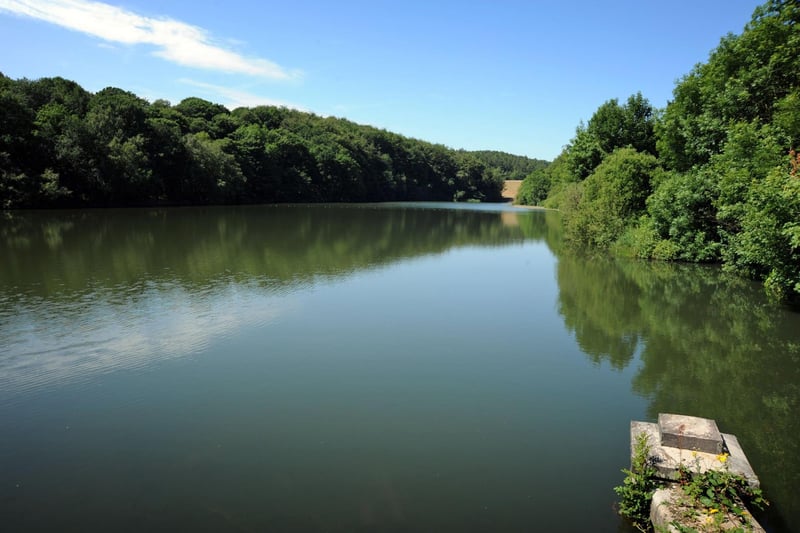 The three reservoirs are a haven for wildlife including nuthatches, flycatchers, woodpeckers, mandarin ducks and kingfishers. Redbox T posted on TripAdvisor: "Beautiful scenic route. We love coming here for picnics."