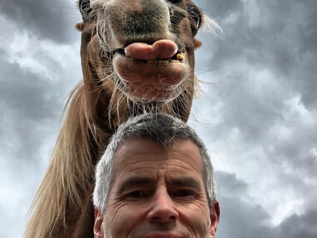 'Funny horse,' also made it to the finalist round in the international competition.