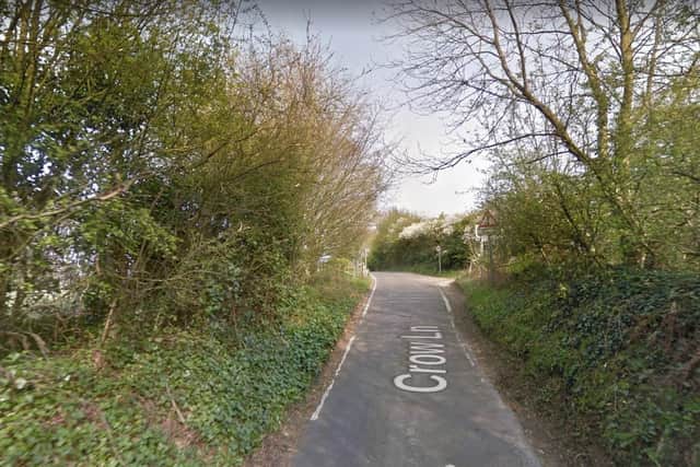 A dog was attacked by another dog on a public footpath between fields on Crow Lane yesterday (March 24).