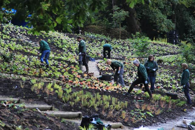 Chatsworth has taken major steps towards the sustainable future management of its world-famous 105-acre garden as it begins the final, large-scale planting of a three-year transformation project.