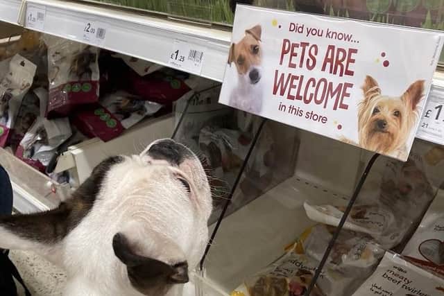 Furry friends, on their leads if applicable, will now be able to browse all areas of the Matlock, Belper, Alfreton, Ripley, Derby and Ilkeston stores – which also stock pet food and pet accessories.