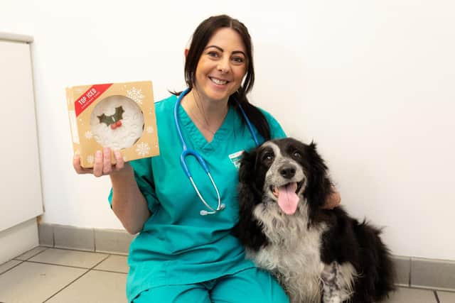 PDSA Vet Nurse Shana Walsh said with the festive season here, many of us will have lots of treats, sweets and chocolates in the house. But while Christmas can be a time for indulgence for us, it’s important to remember that some foods can be very harmful to our pets.