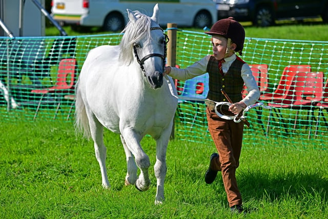 This little competitor concentrates on handling their pony.